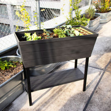 画像をギャラリービューアに読み込む, 【高床式菜園植木鉢・プランター】KETER Urban bloomr(アーバンブルーマー)