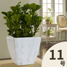 画像をギャラリービューアに読み込む, クラッシーポット マーブル スクエア 11号 高さ32cm