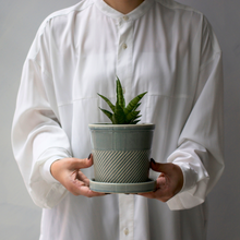 画像をギャラリービューアに読み込む, 【土を使わない観葉植物】テーブルプランツ(Table Plants)1品種×Sentir鉢セット