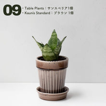 画像をギャラリービューアに読み込む, 【土を使わない観葉植物】テーブルプランツ(Table Plants)1品種×Kaunis Standard鉢セット