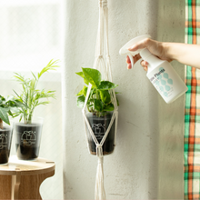 画像をギャラリービューアに読み込む, 【土を使わない観葉植物】つる性テーブルプランツ(Table Plants) ×ハンギングセット