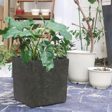 画像をギャラリービューアに読み込む, クラッシーポット ナチュラルキューブ 9号 高さ28cm