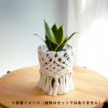 画像をギャラリービューアに読み込む, 【土を使わない観葉植物】テーブルプランツ (Table Plants) マクラメカバー単品