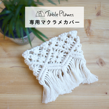 画像をギャラリービューアに読み込む, 【土を使わない観葉植物】テーブルプランツ (Table Plants) マクラメカバー単品