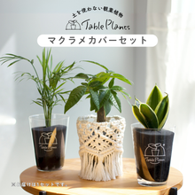 画像をギャラリービューアに読み込む, 【土を使わない観葉植物】テーブルプランツ (Table Plants) マクラメカバーセット