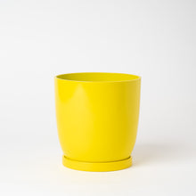 画像をギャラリービューアに読み込む, ストレリチア・レギネ 5号 リサイクルポットラウンドセット【SHEL'TTER GREENのおしゃれな植木鉢でお届け】