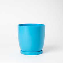 画像をギャラリービューアに読み込む, ストレリチア・レギネ 5号 リサイクルポットラウンドセット【SHEL'TTER GREENのおしゃれな植木鉢でお届け】