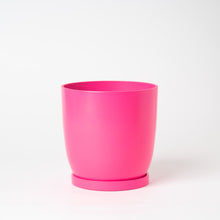 画像をギャラリービューアに読み込む, ストレリチア・レギネ 5号 リサイクルポットラウンドセット【SHEL'TTER GREENのおしゃれな植木鉢でお届け】