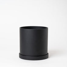 画像をギャラリービューアに読み込む, モンステラ・アダンソニー 5号 リサイクルポットセット【SHEL'TTER GREENのおしゃれな植木鉢でお届け】