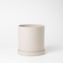 画像をギャラリービューアに読み込む, ストレリチア・レギネ 5号 リサイクルポットセット【SHEL'TTER GREENのおしゃれな植木鉢でお届け】