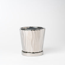 画像をギャラリービューアに読み込む, ストレリチア・レギネ 5号 オリジナル陶器ポットセット 【SHEL'TTER GREENのおしゃれな植木鉢でお届け】