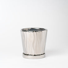 画像をギャラリービューアに読み込む, パキラ 5号 オリジナル陶器ポットセット 【SHEL'TTER GREENのおしゃれな植木鉢でお届け】