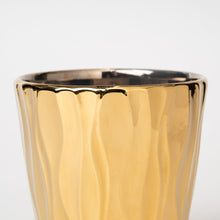 画像をギャラリービューアに読み込む, パキラ 5号 オリジナル陶器ポットセット 【SHEL'TTER GREENのおしゃれな植木鉢でお届け】