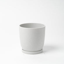 画像をギャラリービューアに読み込む, ストレリチア・レギネ 5号 リサイクルポットMIXセット【SHEL'TTER GREENのおしゃれな植木鉢でお届け】