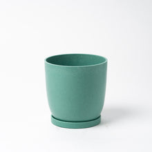 画像をギャラリービューアに読み込む, モンステラ・アダンソニー 5号 リサイクルポットMIXセット【SHEL'TTER GREENのおしゃれな植木鉢でお届け】