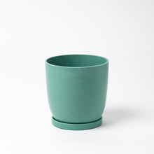 画像をギャラリービューアに読み込む, パキラ 5号 リサイクルポットMIXセット【SHEL'TTER GREENのおしゃれな植木鉢でお届け】