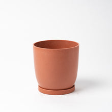 画像をギャラリービューアに読み込む, パキラ 5号 リサイクルポットMIXセット【SHEL'TTER GREENのおしゃれな植木鉢でお届け】