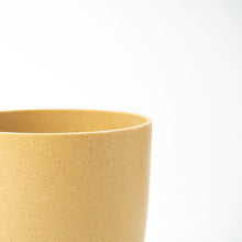 画像をギャラリービューアに読み込む, モンステラ・アダンソニー 5号 リサイクルポットMIXセット【SHEL'TTER GREENのおしゃれな植木鉢でお届け】