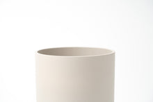 画像をギャラリービューアに読み込む, ストレリチア・レギネ 5号 リサイクルポットセット【SHEL'TTER GREENのおしゃれな植木鉢でお届け】