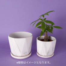 画像をギャラリービューアに読み込む, 【おしゃれな植木鉢】SHEL'TTER GREEN マーブル陶器ポット グレー系