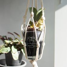 画像をギャラリービューアに読み込む, 【土を使わない観葉植物】テーブルプランツ(Table Plants) コウモリラン(ビカクシダ) ※数量限定