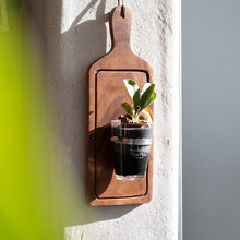 画像をギャラリービューアに読み込む, 【土を使わない観葉植物】テーブルプランツ(Table Plants) コウモリラン(ビカクシダ) ※数量限定