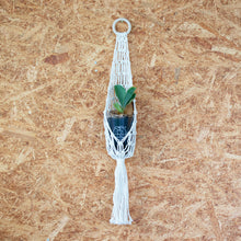 画像をギャラリービューアに読み込む, 【土を使わない観葉植物】テーブルプランツ(Table Plants) コウモリラン×マクラメ・ハンギングセット