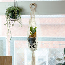画像をギャラリービューアに読み込む, 【土を使わない観葉植物】テーブルプランツ(Table Plants) コウモリラン×マクラメ・ハンギングセット