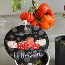 画像をギャラリービューアに読み込む, 【予約商品:10/14発送】ソラナム・パンプキン (ソラナム・エチオピクム) 4号