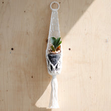 画像をギャラリービューアに読み込む, 【土を使わない観葉植物】テーブルプランツ(Table Plants) コウモリラン×マクラメ・ハンギングセット