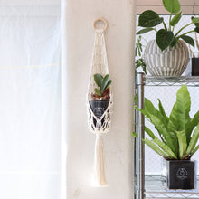 画像をギャラリービューアに読み込む, 【土を使わない観葉植物】テーブルプランツ(Table Plants) コウモリラン×マクラメ・ハンギングセット