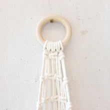 画像をギャラリービューアに読み込む, 【土を使わない観葉植物】テーブルプランツ(Table Plants) コウモリラン×マクラメ・ハンギングセット