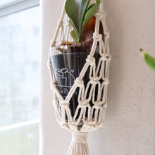 画像をギャラリービューアに読み込む, 【土を使わない観葉植物】テーブルプランツ(Table Plants) コウモリラン×マクラメ・ハンギングセット