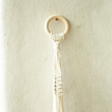 画像をギャラリービューアに読み込む, 【土を使わない観葉植物】つる性テーブルプランツ(Table Plants) ×ハンギングセット