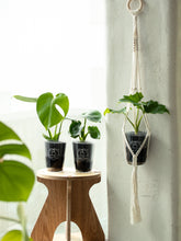 画像をギャラリービューアに読み込む, 【TablePlants専用】インテリアのアクセントに!ハンドメイド・ハンギング単品