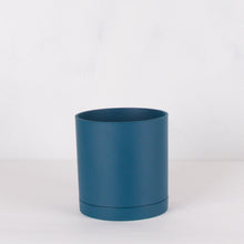 画像をギャラリービューアに読み込む, モンステラ・アダンソニー 5号 リサイクルシリンダーポットセット【SHEL'TTER GREENのおしゃれな植木鉢でお届け】