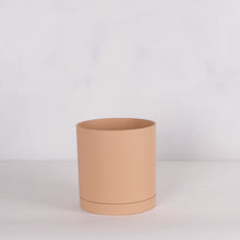 画像をギャラリービューアに読み込む, モンステラ・アダンソニー 5号 リサイクルシリンダーポットセット【SHEL'TTER GREENのおしゃれな植木鉢でお届け】