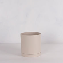 画像をギャラリービューアに読み込む, モンステラ・アダンソニー 5号 リサイクルシリンダーポットセット【SHEL'TTER GREENのおしゃれな植木鉢でお届け】