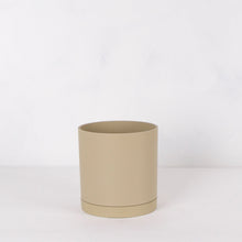 画像をギャラリービューアに読み込む, モンステラ・アダンソニー 5号 リサイクルシリンダーポットセット【SHEL'TTER GREENのおしゃれな植木鉢でお届け】
