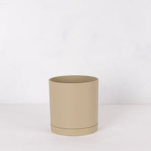 画像をギャラリービューアに読み込む, サンスベリア 5号 リサイクルシリンダーポットセット【SHEL'TTER GREENのおしゃれな植木鉢でお届け】