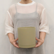 画像をギャラリービューアに読み込む, モンステラ・アダンソニー 5号 リサイクルシリンダーポットセット【SHEL'TTER GREENのおしゃれな植木鉢でお届け】