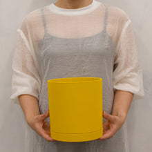 画像をギャラリービューアに読み込む, サンスベリア 5号 リサイクルシリンダーポットセット【SHEL'TTER GREENのおしゃれな植木鉢でお届け】