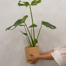 画像をギャラリービューアに読み込む, 【おしゃれな植木鉢】SHEL'TTER GREEN リサイクルシリンダーポット 5号