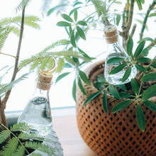 画像をギャラリービューアに読み込む, 旅行中の植物の水やりに最適!プランターに挿す水やり器