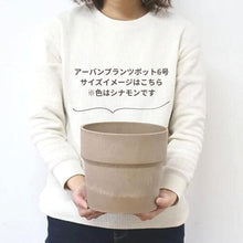 画像をギャラリービューアに読み込む, モンステラ・アダンソニー 6号 シンプルな鉢カバー&ポットスタンドセット