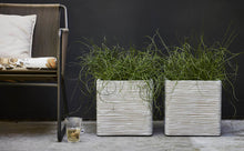 画像をギャラリービューアに読み込む, CAPI キューブポット リブ 30cm/40cm/50cm