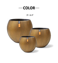 画像をギャラリービューアに読み込む, CAPI ミックスボックスグルーヴ ゴールド 3点セット