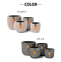 画像をギャラリービューアに読み込む, CAPI ミックスボックスグルーヴ4点セット