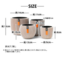 画像をギャラリービューアに読み込む, CAPI ミックスボックスグルーヴ4点セット