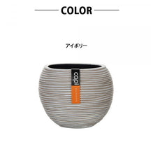 画像をギャラリービューアに読み込む, CAPI ミックスボックス ベースボールリブ 3点セット アイボリー